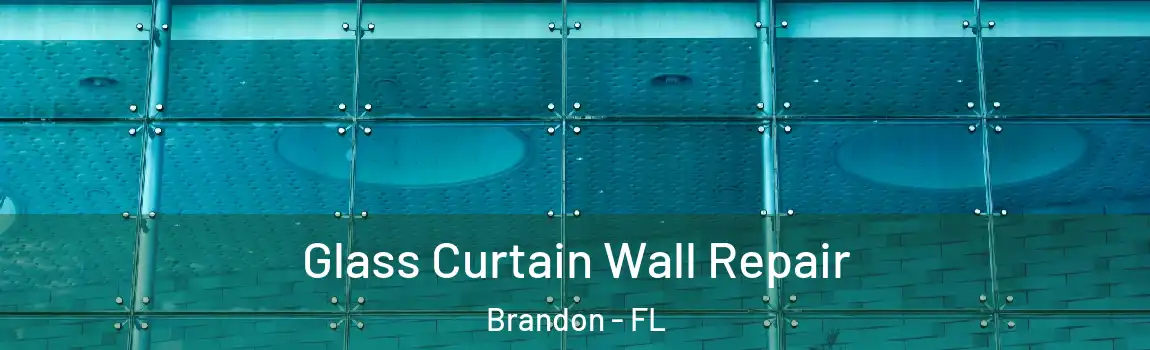 Glass Curtain Wall Repair Brandon - FL