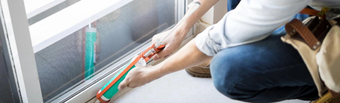 Emergency Window Replacement Services in Brandon, FL